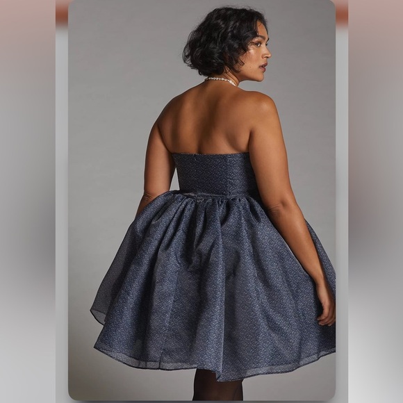 Anthropologie Selkie Seamed Tulle Mini Dress Size 16W NWT - Picture 3 of 17